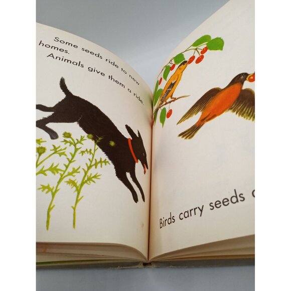 True Book Of Plants We Know O. Irene Sevrey Miner 1953 Hardcover Children Book - Picture 12 of 16